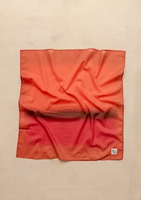 TBCo x Abisola Omole Hues Cotton Scarf
